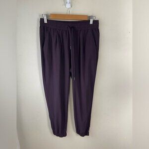Aritzia Community eggplant oriole lightweight high rise joggers size XS